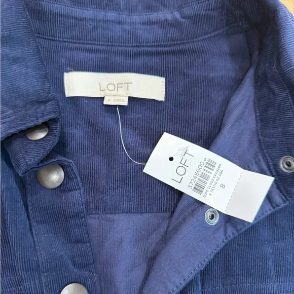 LOFT Dark Navy Corduroy Button-Front Dress - Picture 3 of 4